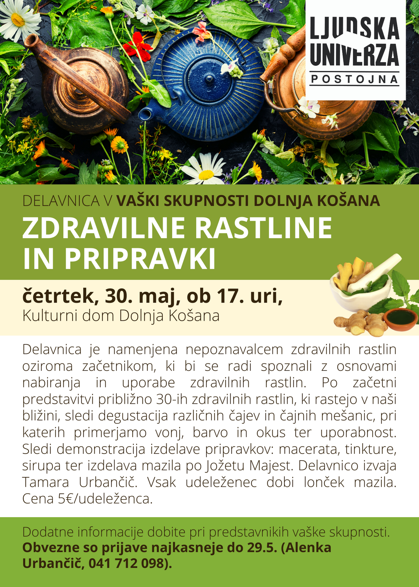 dolnja košana